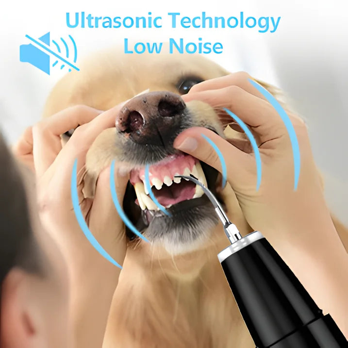 Rizulfey Dog Cat Ultrasonic Dental Care Toothbrush Kit for Pet Removes Tartar Plaque, Blackf