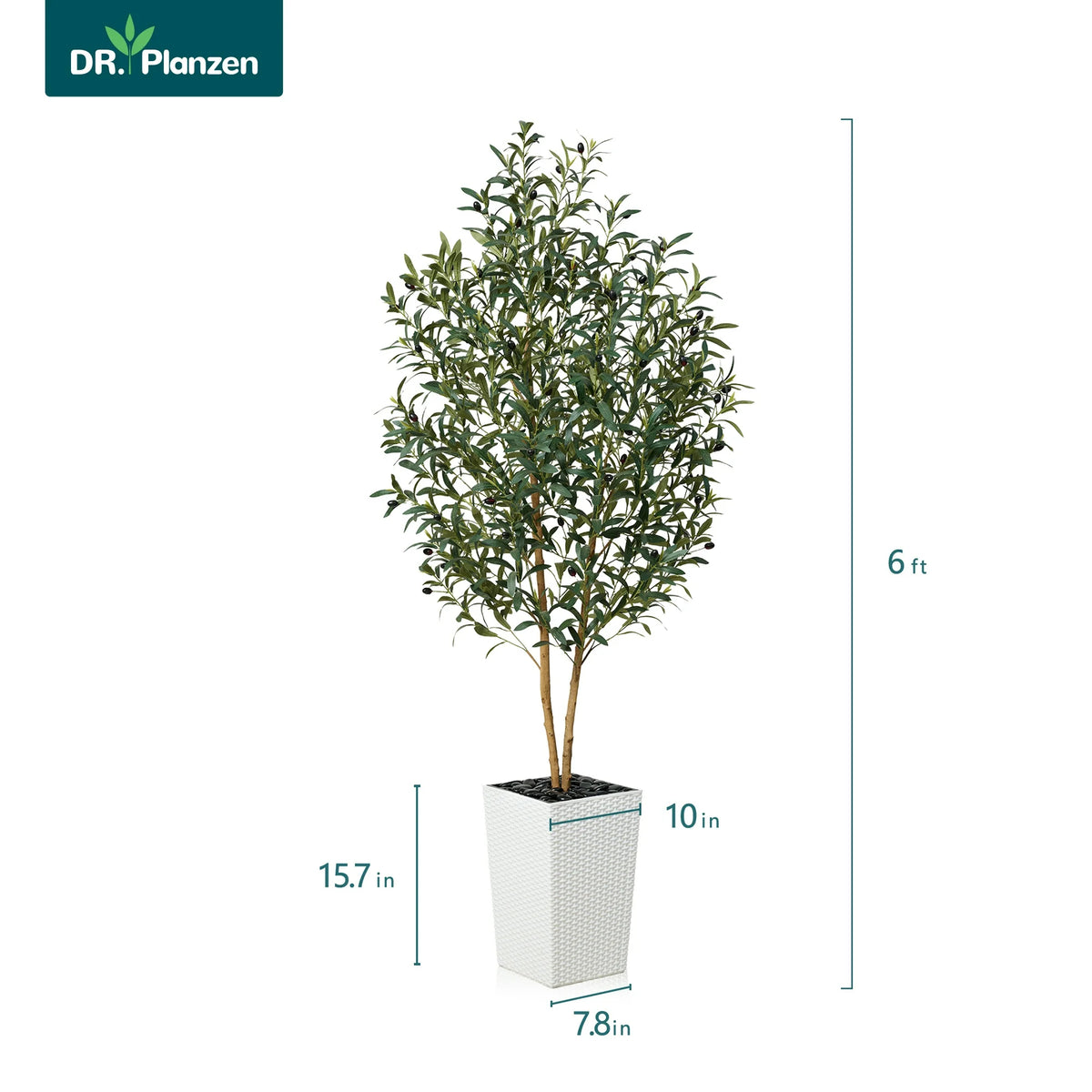 DR.Planzen 6FT Tall Artificial Olive Tree with Tall White Planter, UV Resistant Silk Leaves Real Wood Trunk | Home Office House Outdoor Decor