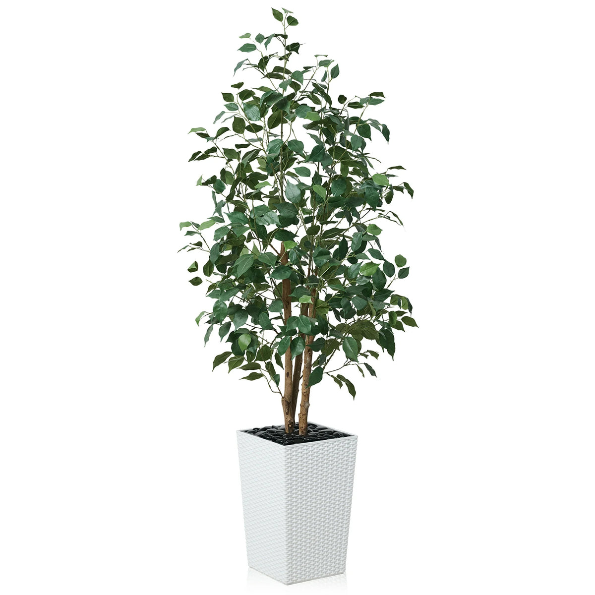 DR.Planzen Artificial Ficus Tree 5ft - UV Protected Faux Ficus Plant with Adjustable Branches and Realistic Green Leaves for Indoor Outdoor Decor, White Large Planter with River Rocks