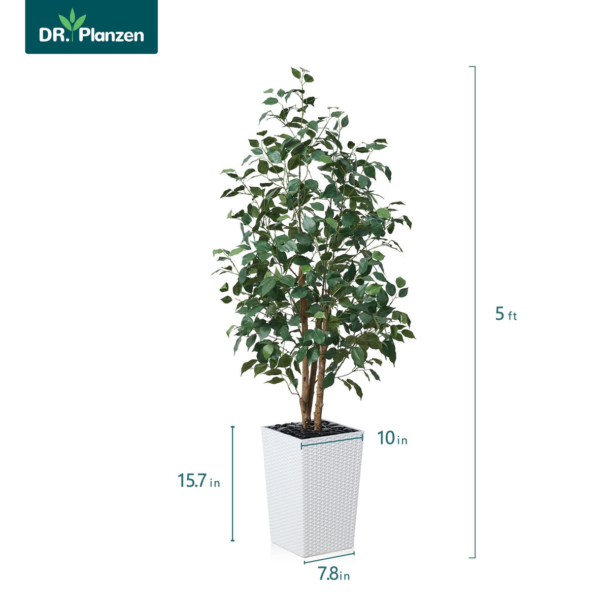 DR.Planzen Artificial Ficus Tree 5ft - UV Protected Faux Ficus Plant with Adjustable Branches and Realistic Green Leaves for Indoor Outdoor Decor, White Large Planter with River Rocks