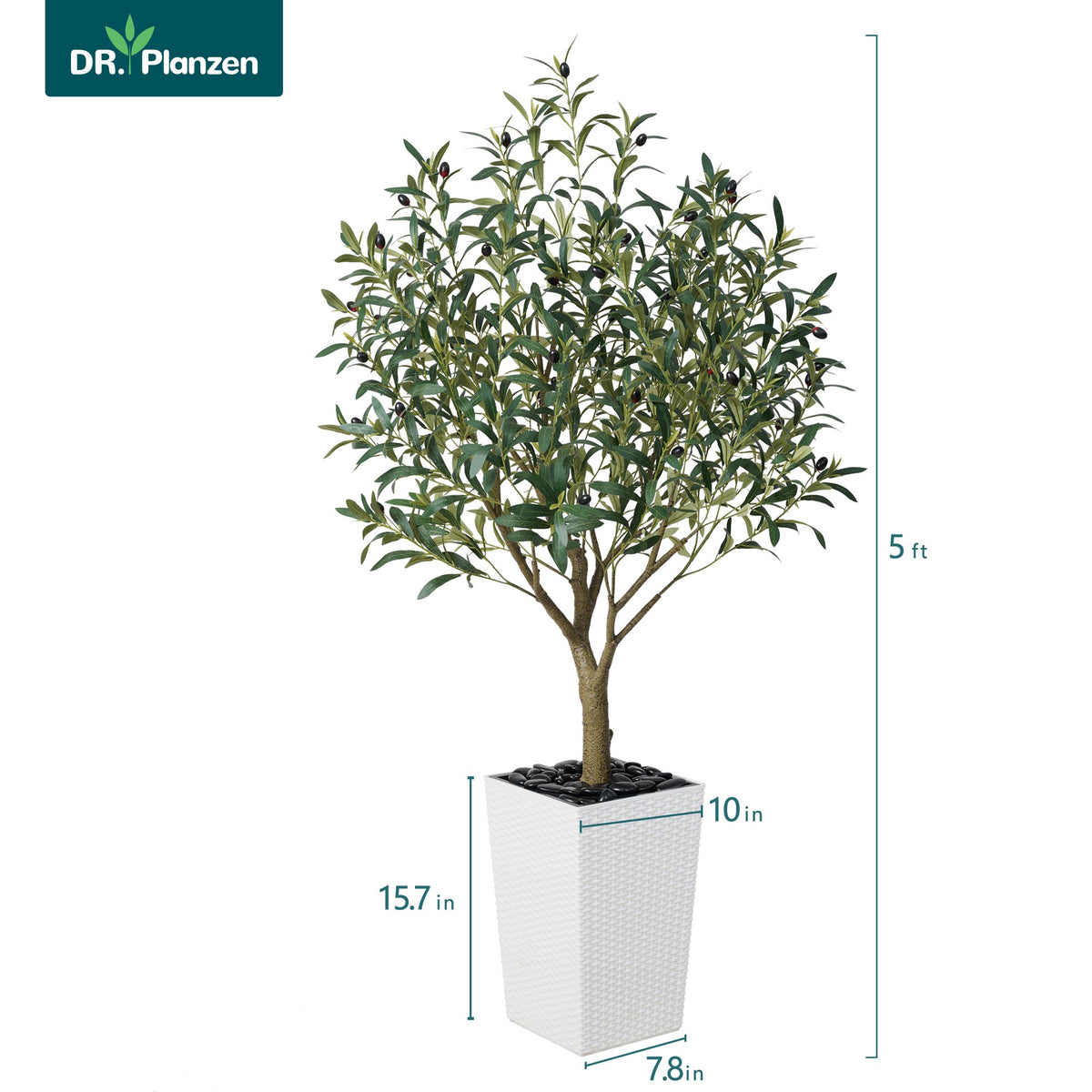 DR.Planzen UV Resistant 5ft Artificial Olive Tree in White Large Planter with Pebbles– Faux Olive Tree for Indoor and Outdoor Decor, Lifelike Greenery for Home Garden Decor