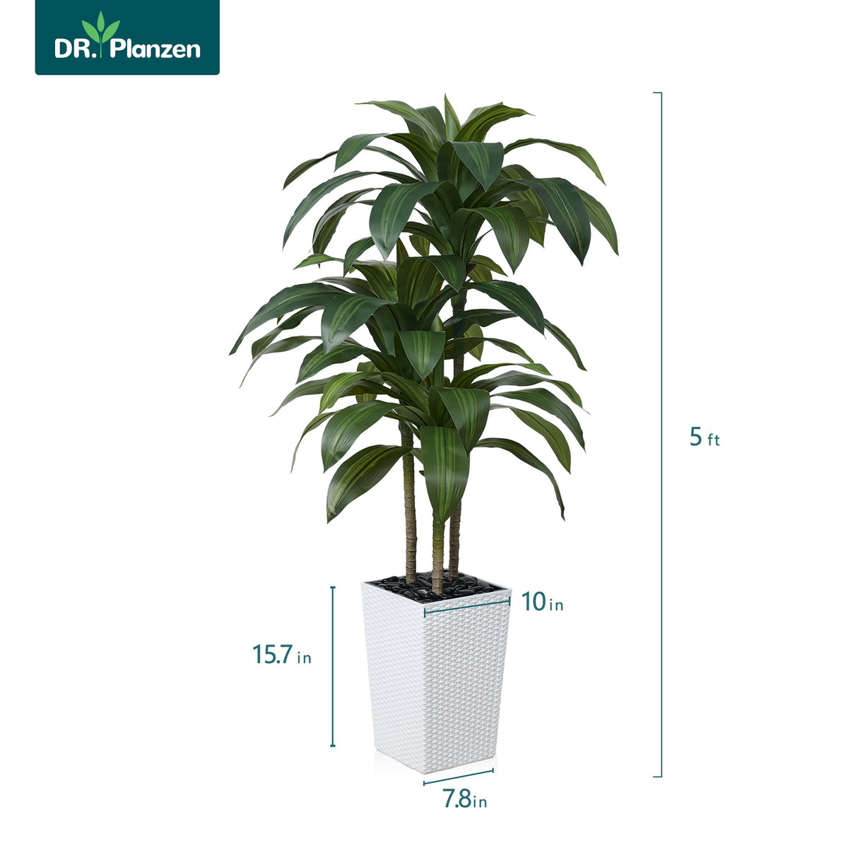 DR.Planzen Artificial Dracaena Tree 5ft - UV Protected Faux Dracaena Plant with 57 Green Leaves, Fake Tree for Indoor Outdoor Use, Sturdy Tall White Planter with River Stones