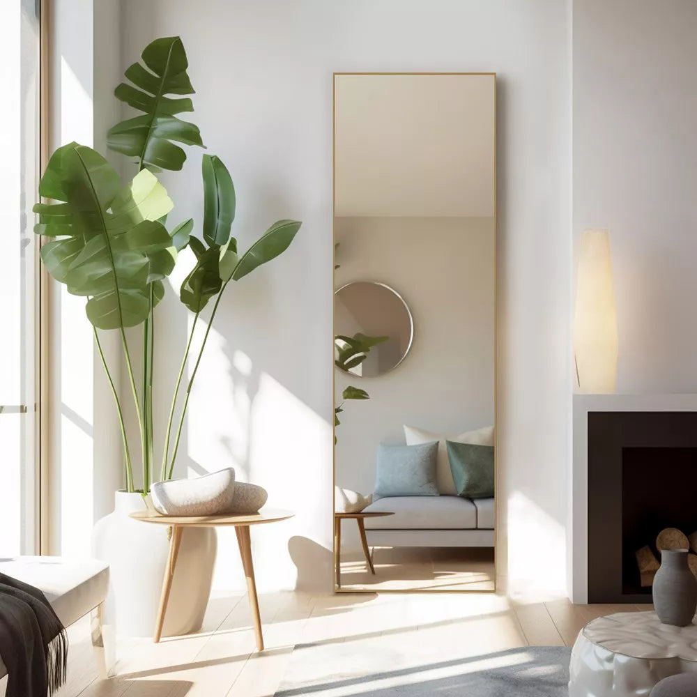 DOMETOUR Body Dressing Mirror Standing Rectangle Floor Mirrors, Wall-Mounted Mirror