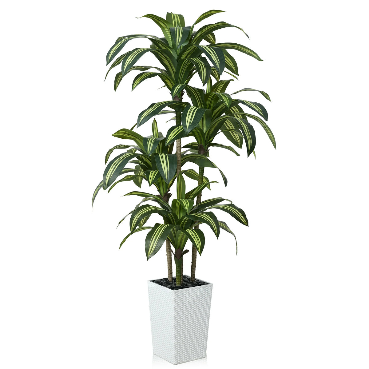 DR.Planzen 6FT Artificial Dracaena Tree with UV-Resistant Silk Leaves in White Tall Planter - Indoor/Outdoor Faux Plant for Home Office House Decor, Tall Fake Tree for Living Room Lobby Patio