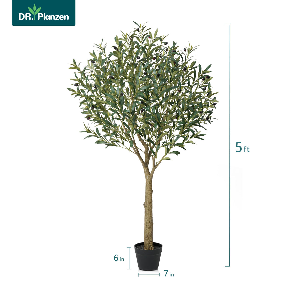 DR.Planzen UV Resistant Artificial Olive Tree 5ft - Faux Olive Plant for Indoor Outdoor Decor - Adjustable Branches - Realistic Olive Tree with Black Plastic Pot