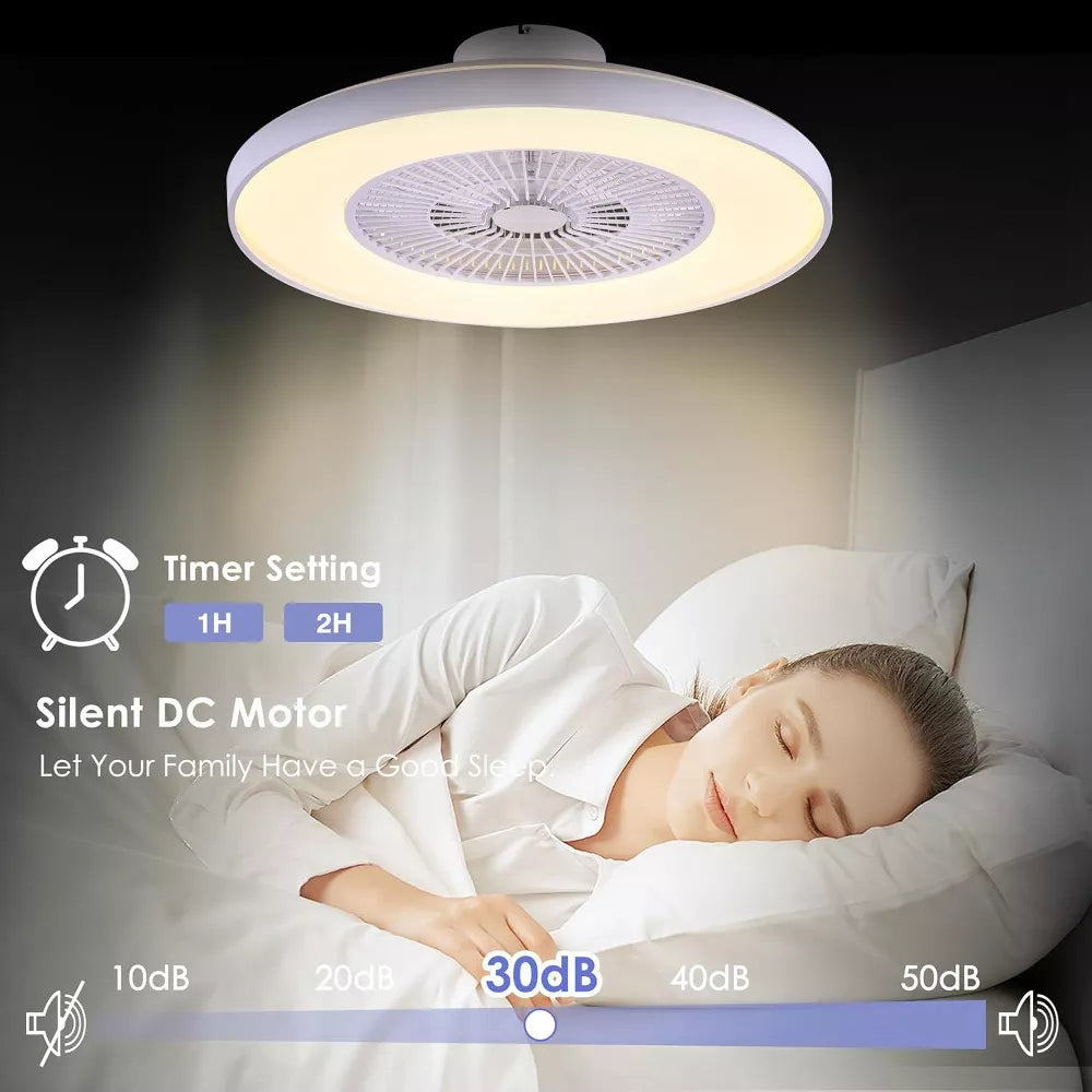 HUMHOLD 24 Inch Smart Modern Ceiling Fan with Lights and Remote/APP Control