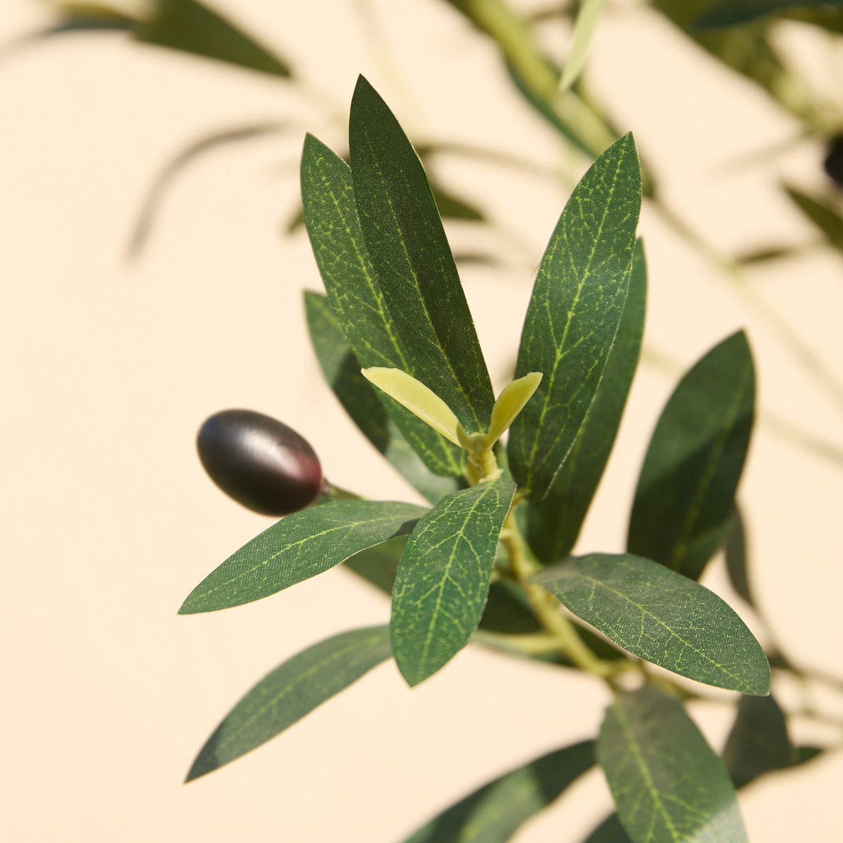DR.Planzen 6FT Tall Artificial Olive Tree with Tall White Planter, UV Resistant Silk Leaves Real Wood Trunk | Home Office House Outdoor Decor