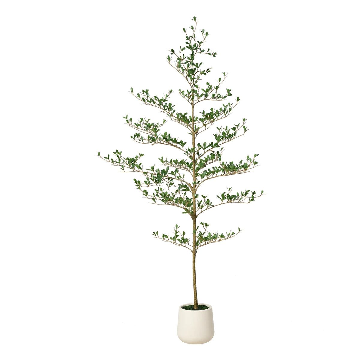 DR.Planzen 6FT Artificial Black Olive Tree with UV-Resistant Silk Leaves White Planter, Tall Artificial Plant Natural Wood Trunk for Home Office Indoor Outdoor Decor