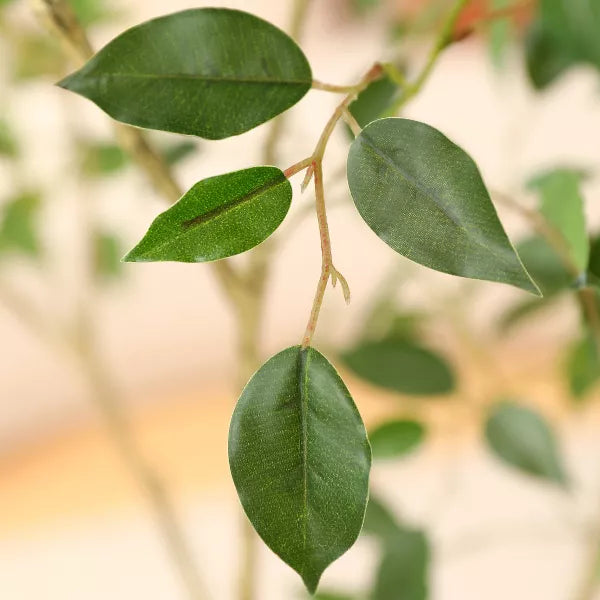 DR.Planzen 5-7FT Faux Ficus Tree with Oval White Planter, Pre Potted Faux Greenry Tree for Home Decor