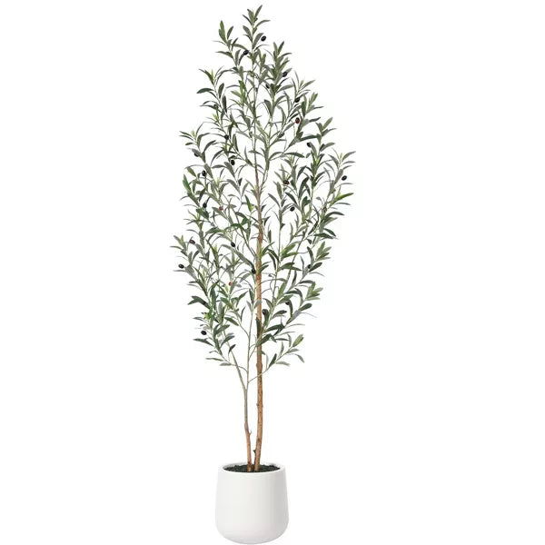 DR.Planzen Artificial Olive Tree with White Planter, 5-7FT Tall Faux Olive Trees with Natural Wood Trunk and Realstic Fruits for Indoor Home Decor
