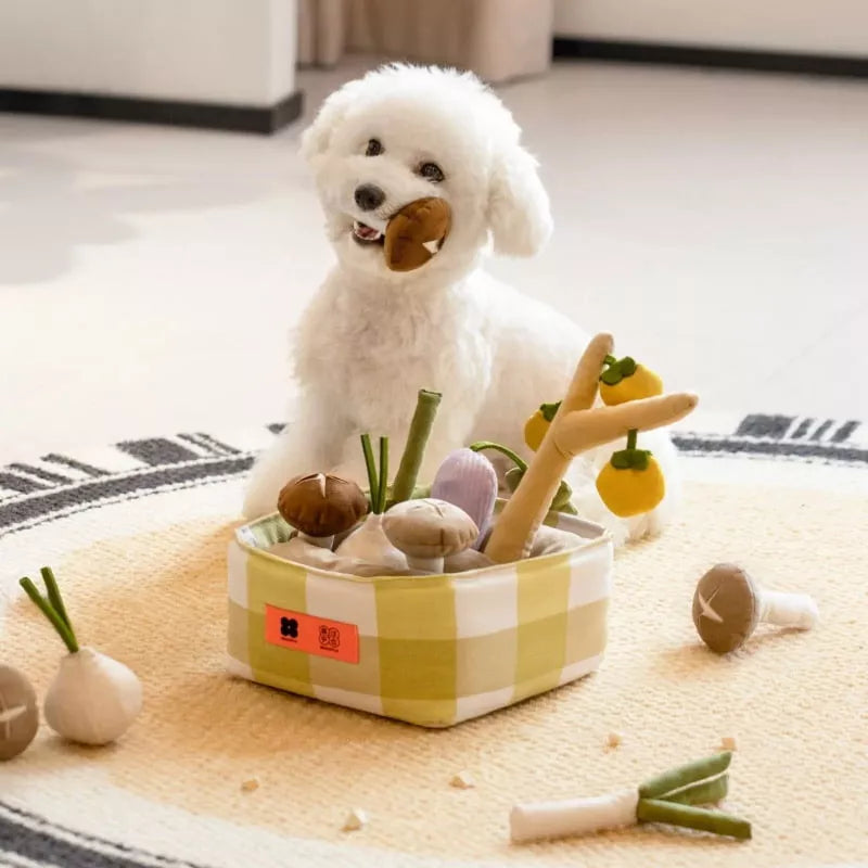Mewoofun Pet Toy Vegetable Shape Interactive Toy Dog Treat Puzzle Feline Canine Enrichment Multi Style Toys, Green, 10.63"*1.97"*9.06"