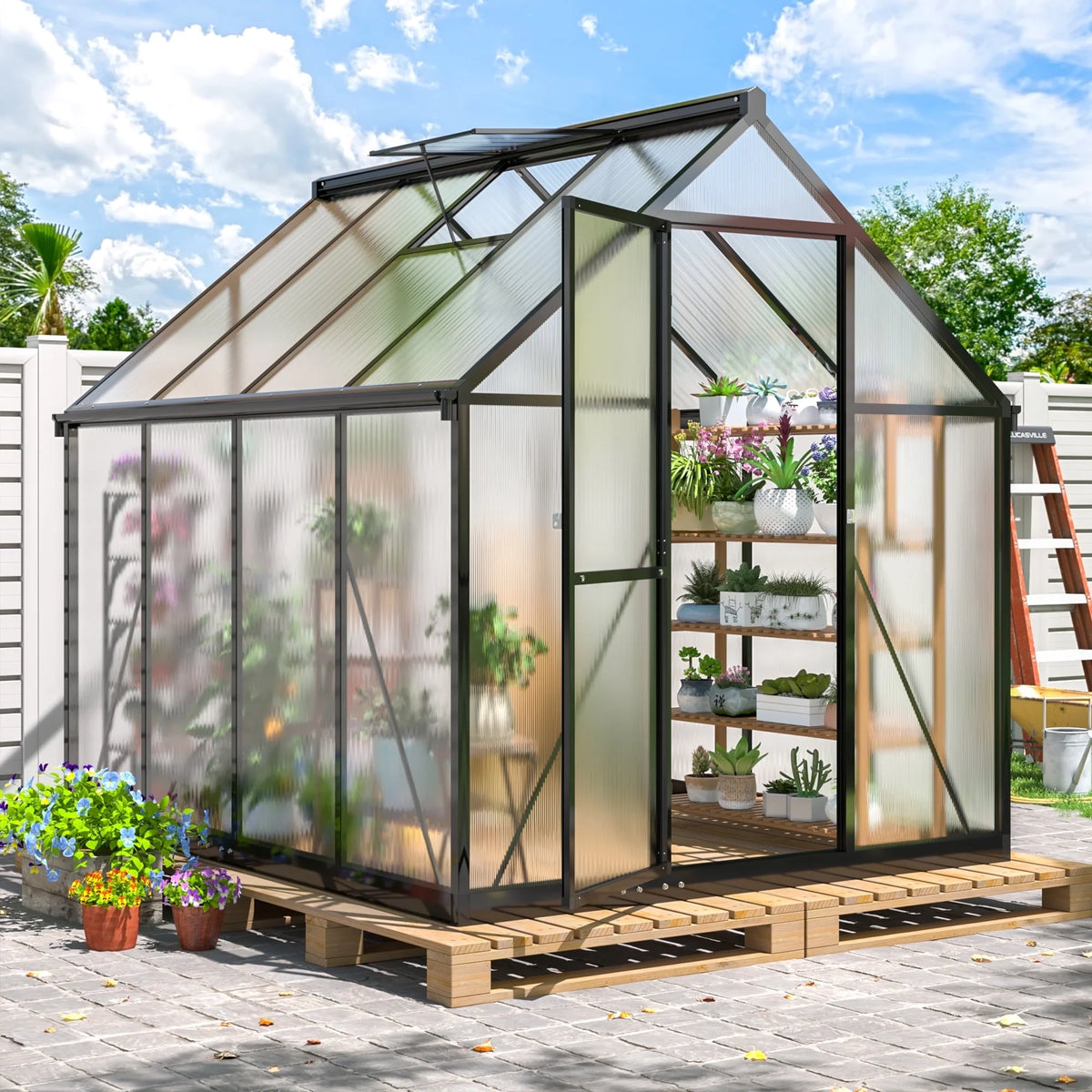 NETAJE 6'x7' Outdoor Greenhouse, Walk-in Polycarbonate Green House with Aluminum Frame for Backyard, Black
