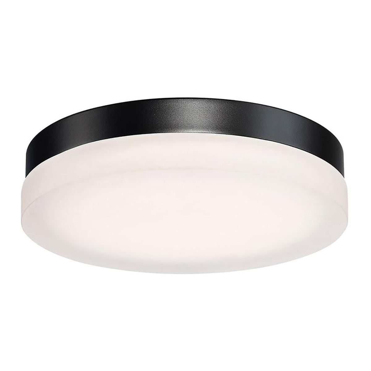 Circa Outdoor Wall / Ceiling Light