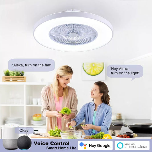 HUMHOLD 24 Inch Smart Modern Ceiling Fan with Lights and Remote/APP Control