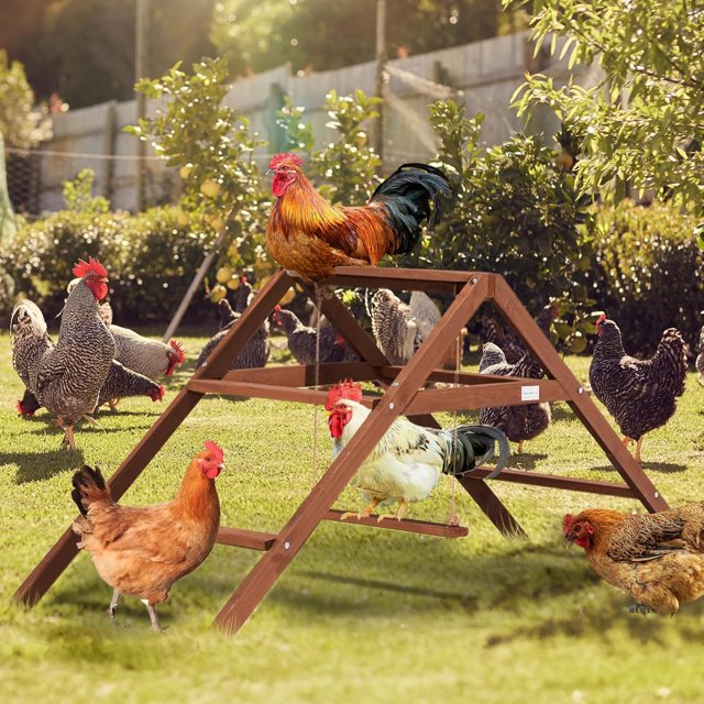 Chicken Roosting Bars for Coop Accessories, Chicken Perches with Swing
