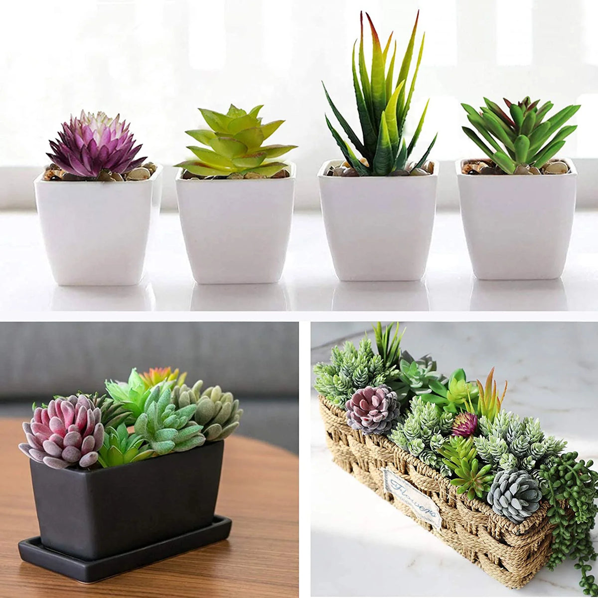 Aisutha Artificial Succulent Plants 16 Pcs Set Faux Succulents Unpotted Fake Succulent Plants, Premium Crafting DIY Floral Decor for Home Garden Office Party (High Realistic )