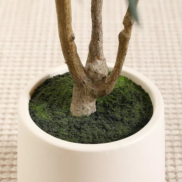 DR.Planzen 5-7FT Artificial Olive Tree with Round White Planter, Pre Potted Fake Plant for Home Decor