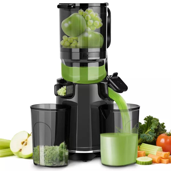 Ecoself Cold Press Juicer – 5.3" Large Feed Chute, 1.7L Capacity, Slow Masticating Juicer for Maximum Nutrients, Easy to Clean Juicer Machine (Black)