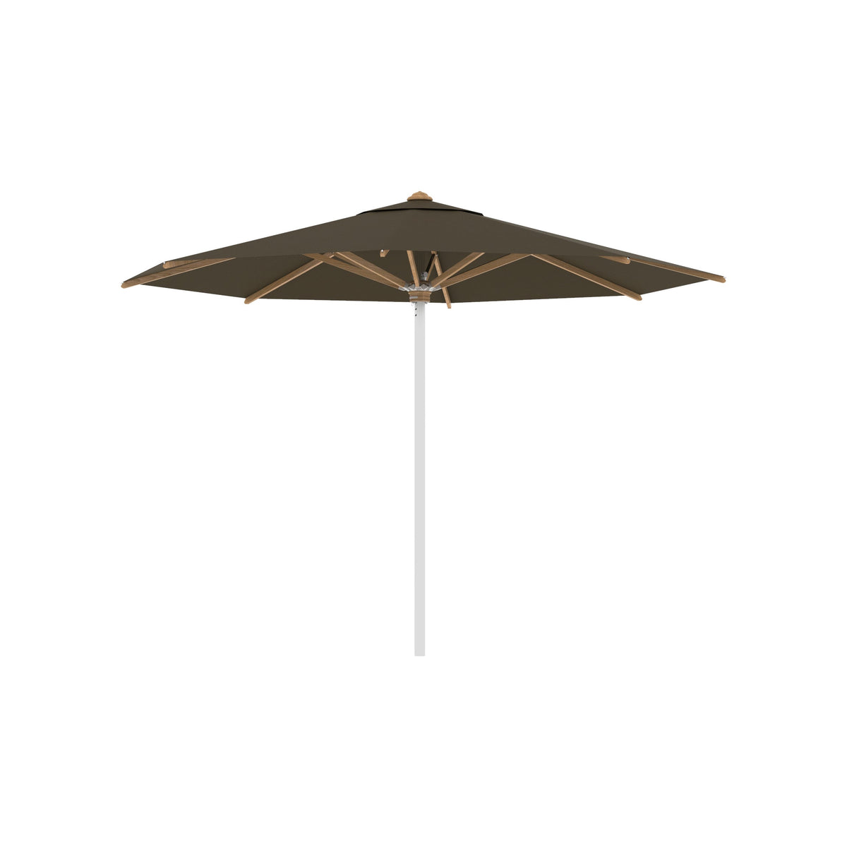 Shady Round Umbrella with Teak Ribs