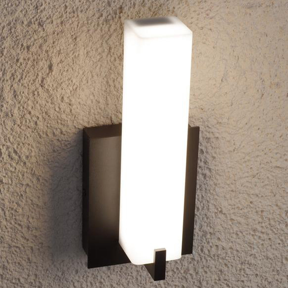 Cosmo Outdoor Wall Light